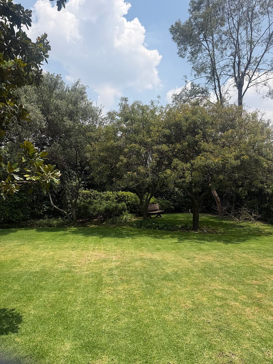 jardin, foto 32 de 39