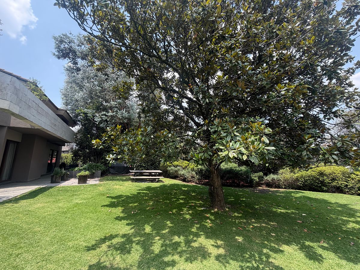 jardin, foto 33 de 39