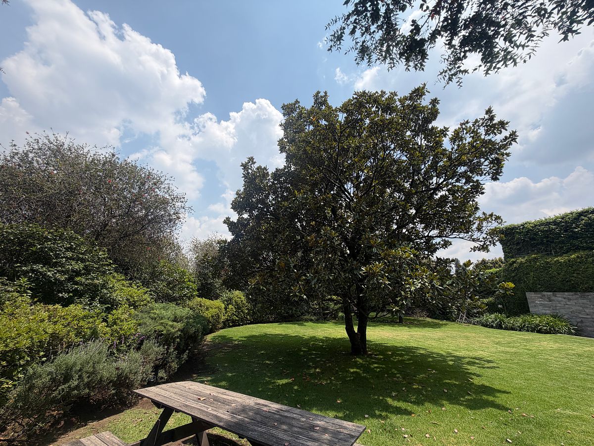 jardin, foto 36 de 39