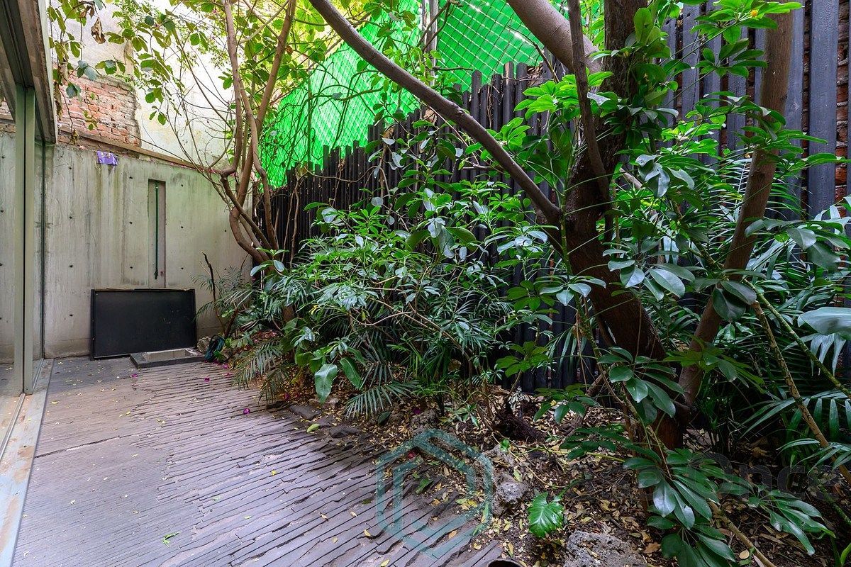 House in Colonia Condesa, Cuauhtémoc, photo 10 of 21