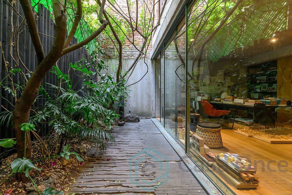 House in Colonia Condesa, Cuauhtémoc, photo 11 of 21