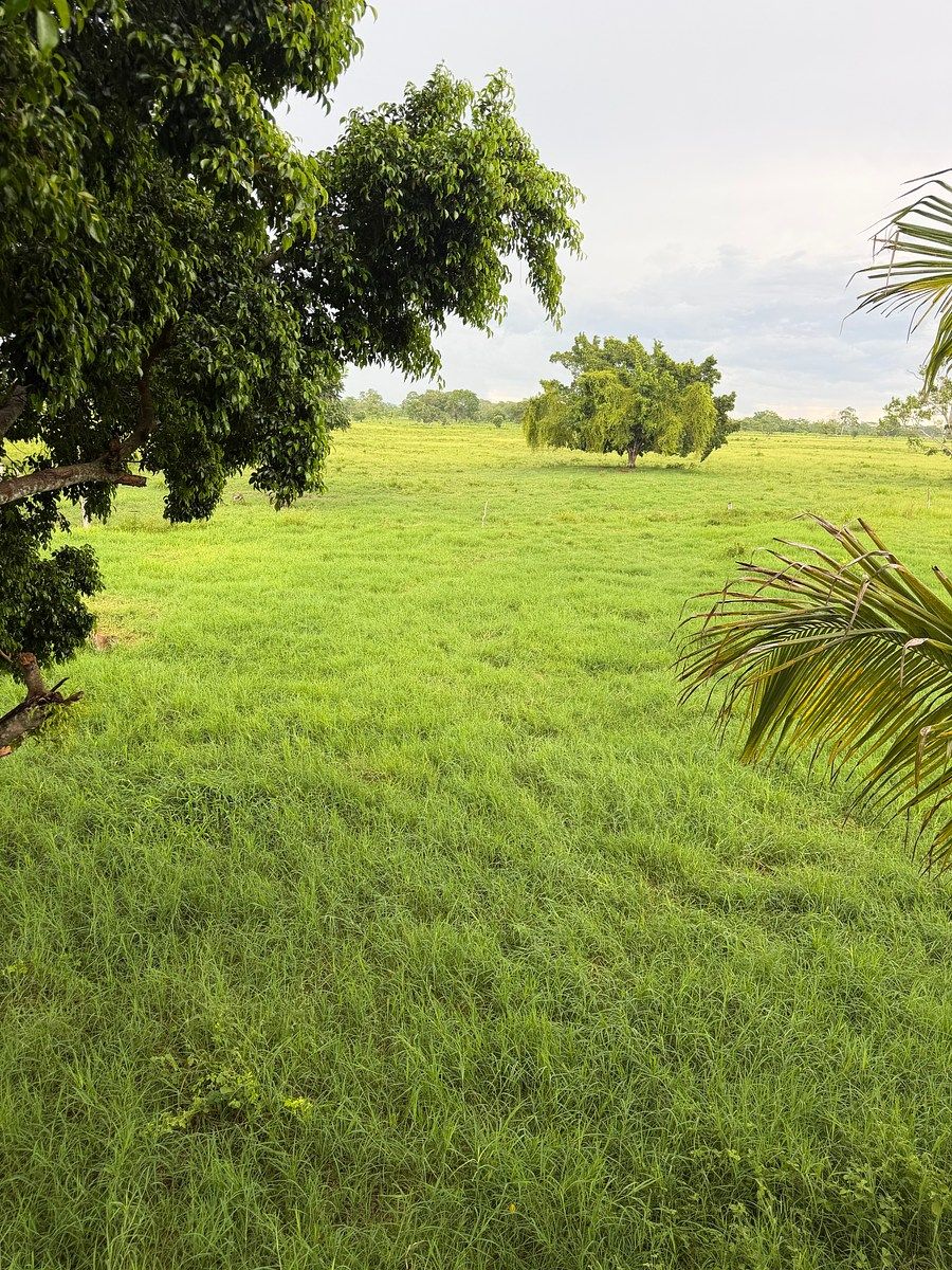 Rancho en Arenal, Champotón, foto 10 de 40