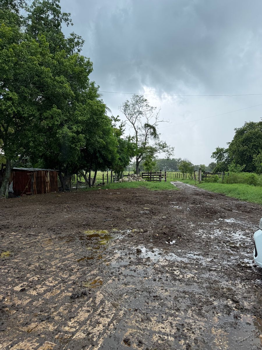 Rancho en Arenal, Champotón, foto 12 de 40