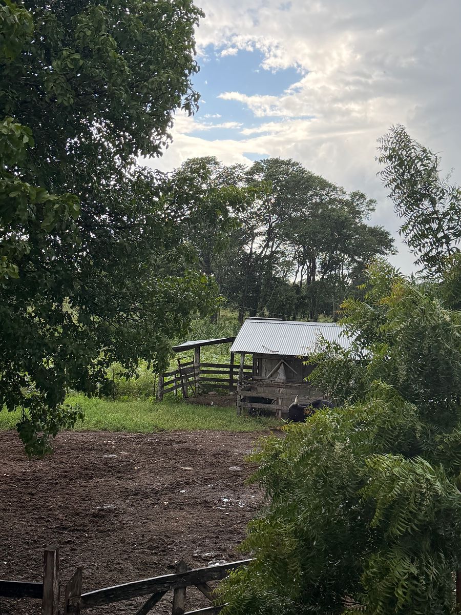 Rancho en Arenal, Champotón, foto 14 de 40