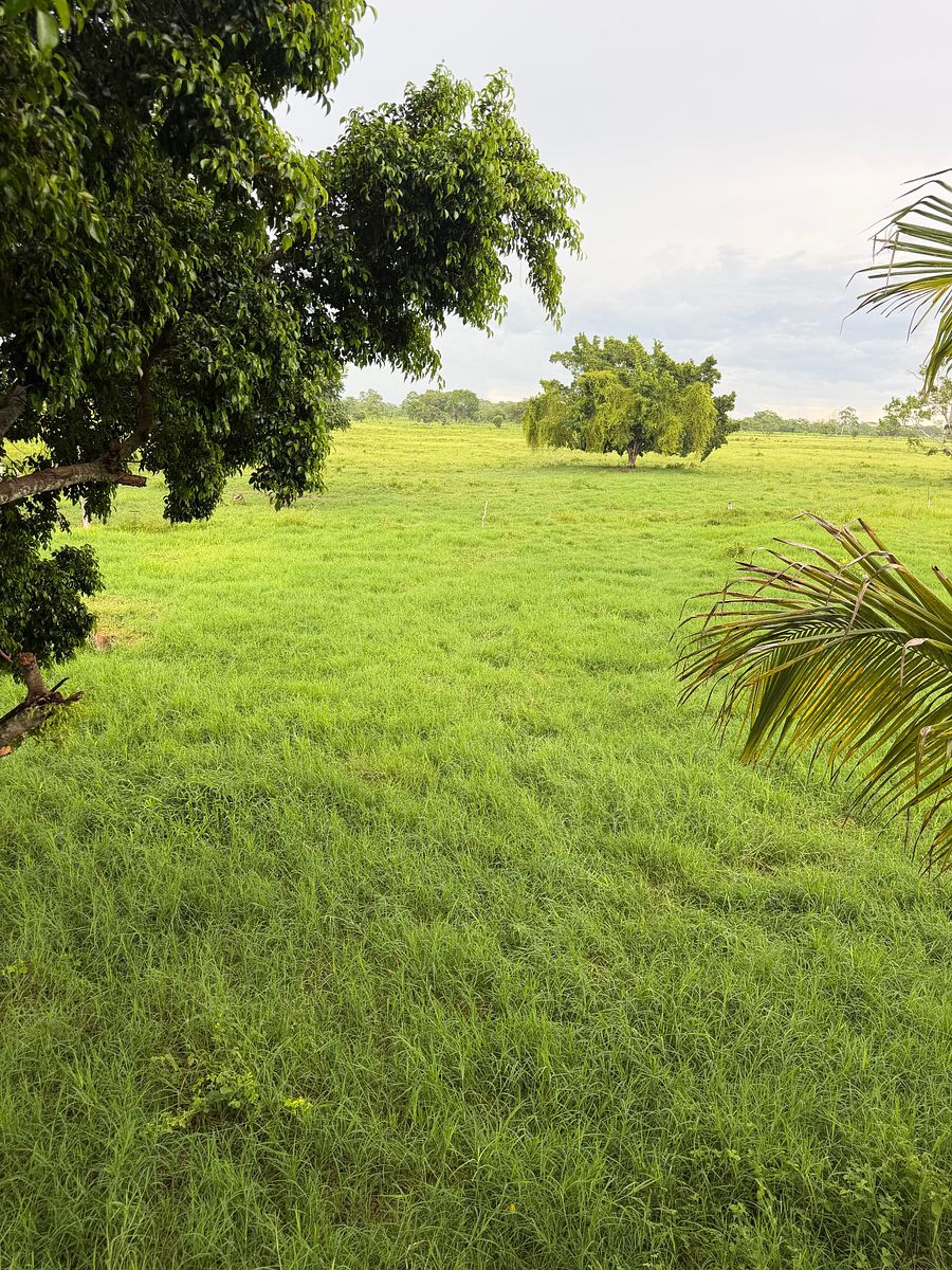 Rancho en Arenal, Champotón, foto 18 de 40