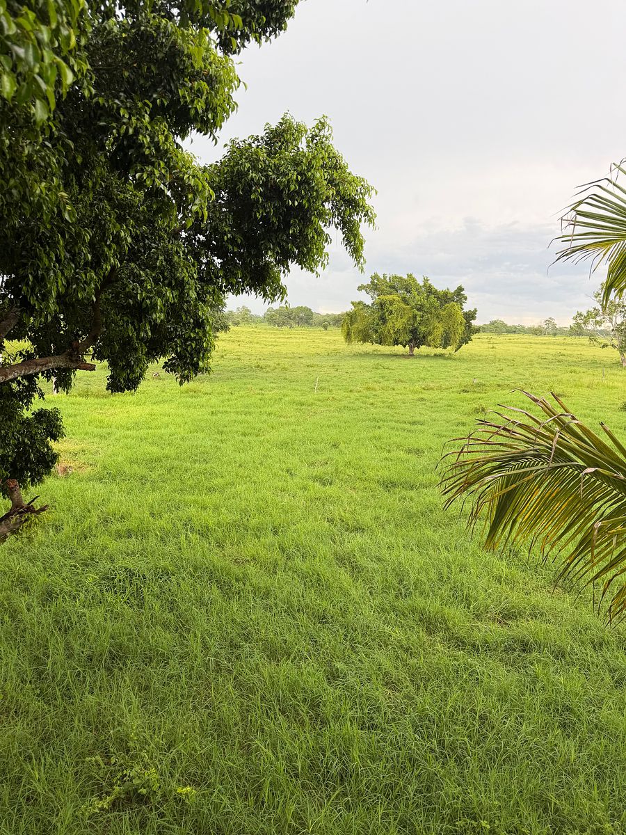 Rancho en Arenal, Champotón, foto 19 de 40