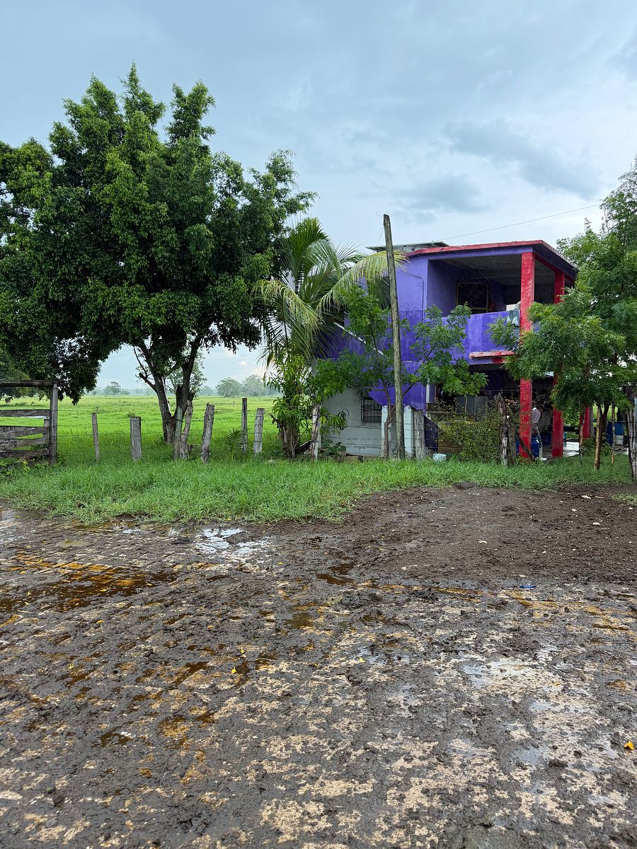 Rancho en Arenal, Champotón, foto 20 de 40
