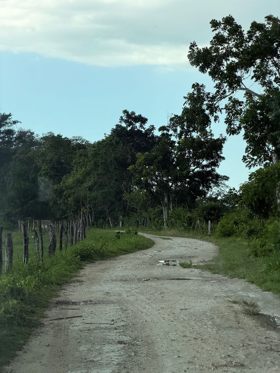 Rancho en Arenal, Champotón, foto 21 de 40