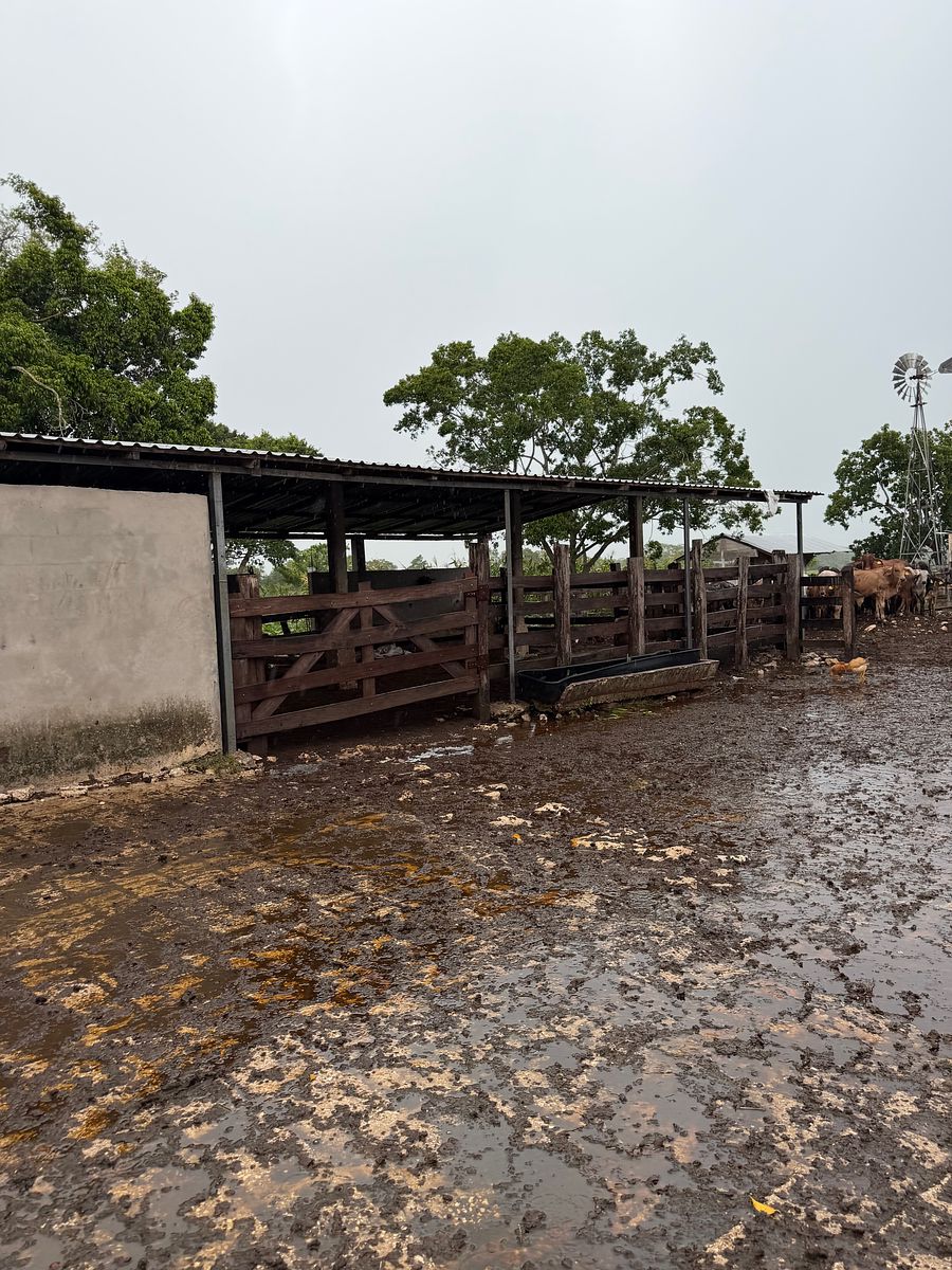 Rancho en Arenal, Champotón, foto 22 de 40