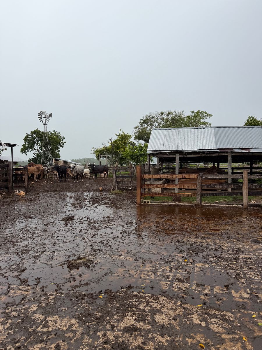 Rancho en Arenal, Champotón, foto 23 de 40