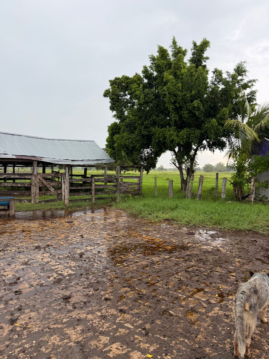 Rancho en Arenal, Champotón, foto 25 de 40