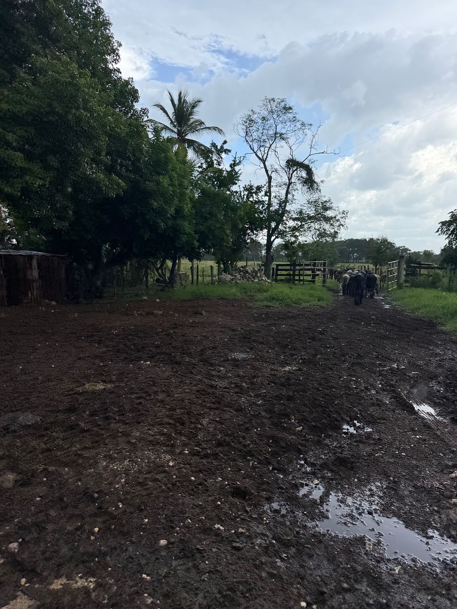 Rancho en Arenal, Champotón, foto 32 de 40