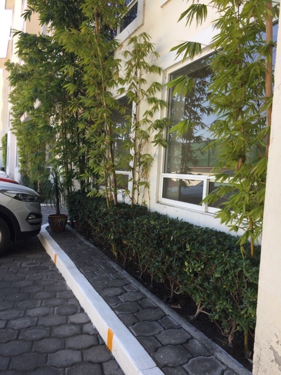Departamento en San Mateo Nopala Zona Norte, Naucalpan de Juárez, foto 7 de 41