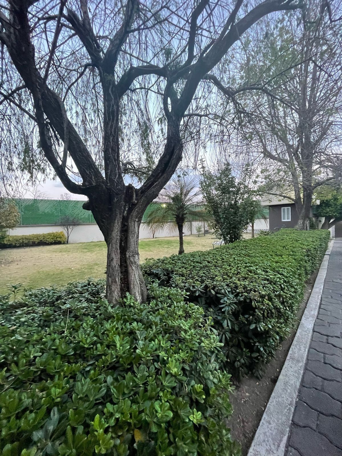 Departamento en San Mateo Nopala Zona Norte, Naucalpan de Juárez, foto 3 de 41