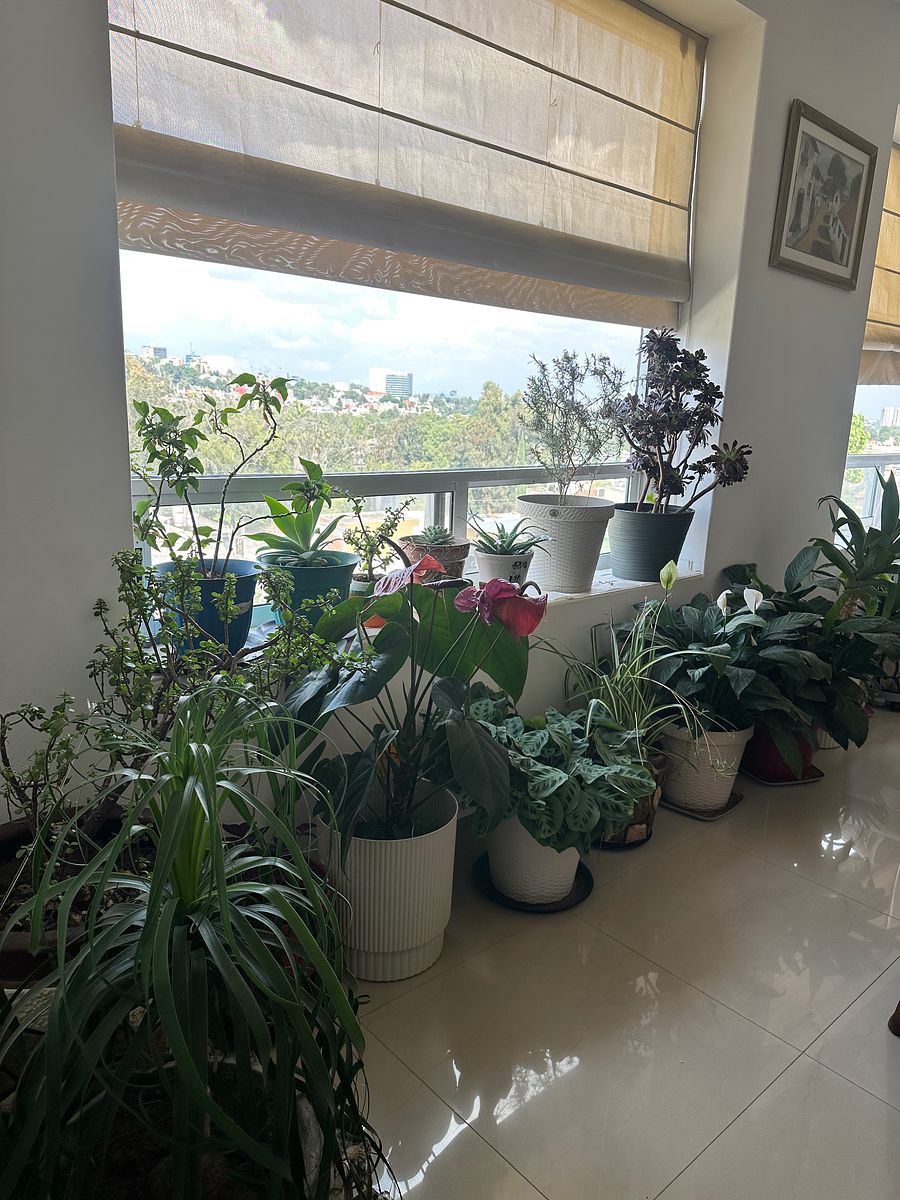 Departamento en San Mateo Nopala Zona Norte, Naucalpan de Juárez, foto 19 de 41