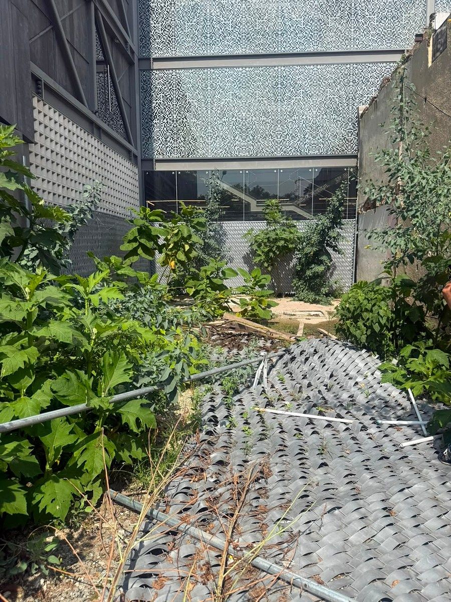 Lote comercial em Santa Teresita, Guadalajara, foto 2 de 10