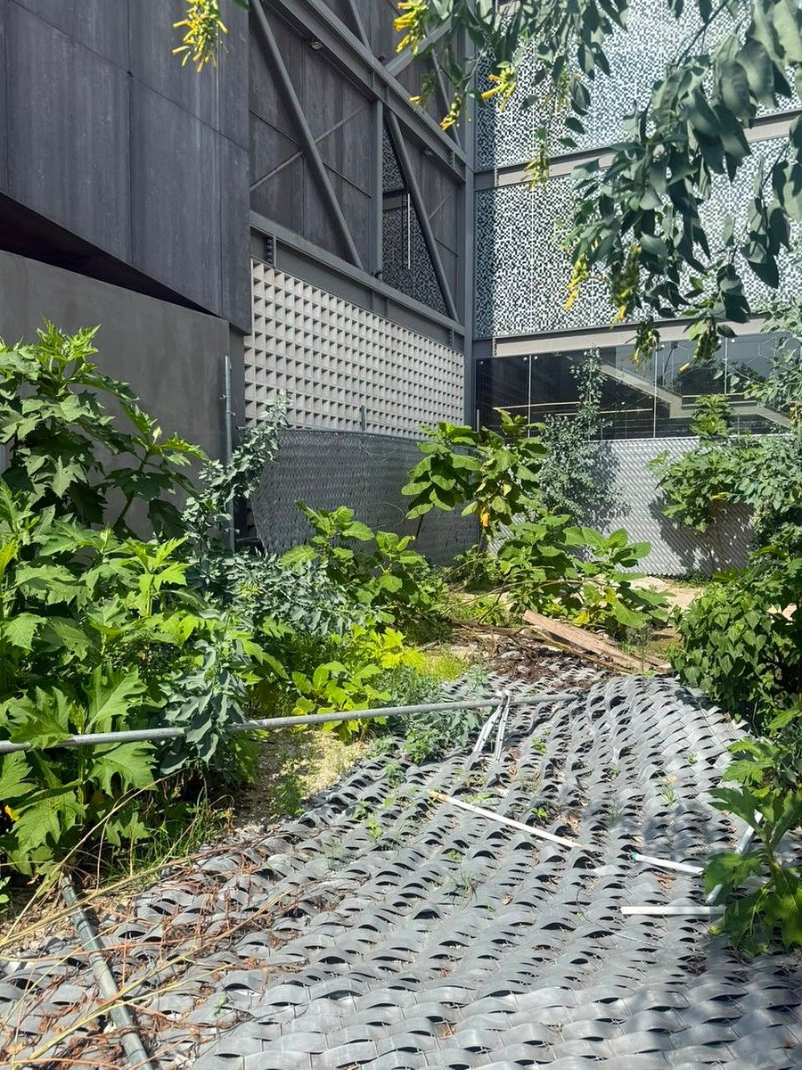 Lote comercial em Santa Teresita, Guadalajara, foto 6 de 10