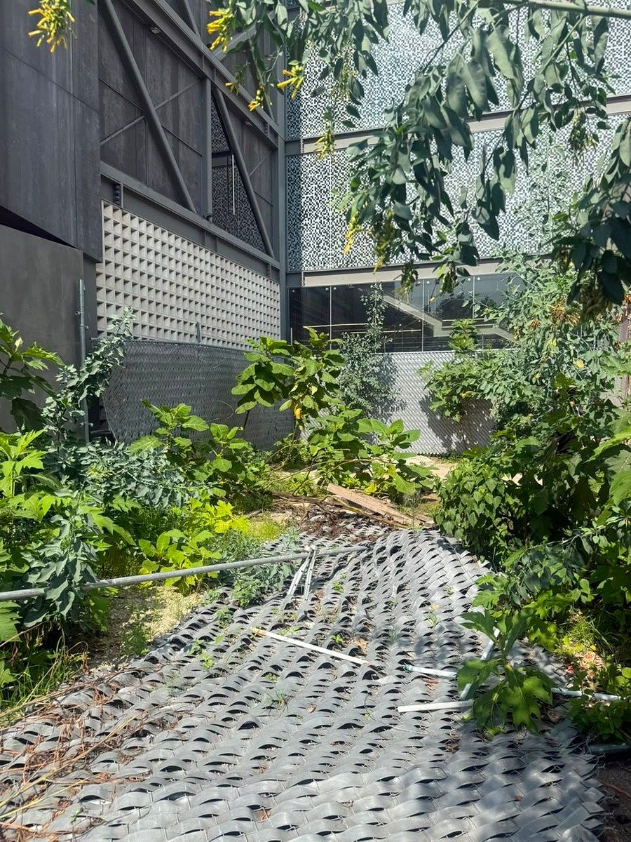 Lote comercial em Santa Teresita, Guadalajara, foto 8 de 10