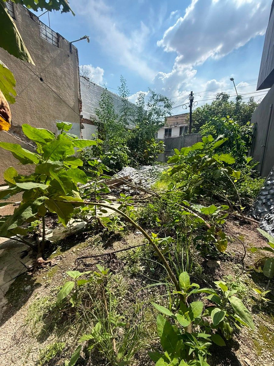 Lote comercial em Santa Teresita, Guadalajara, foto 9 de 10