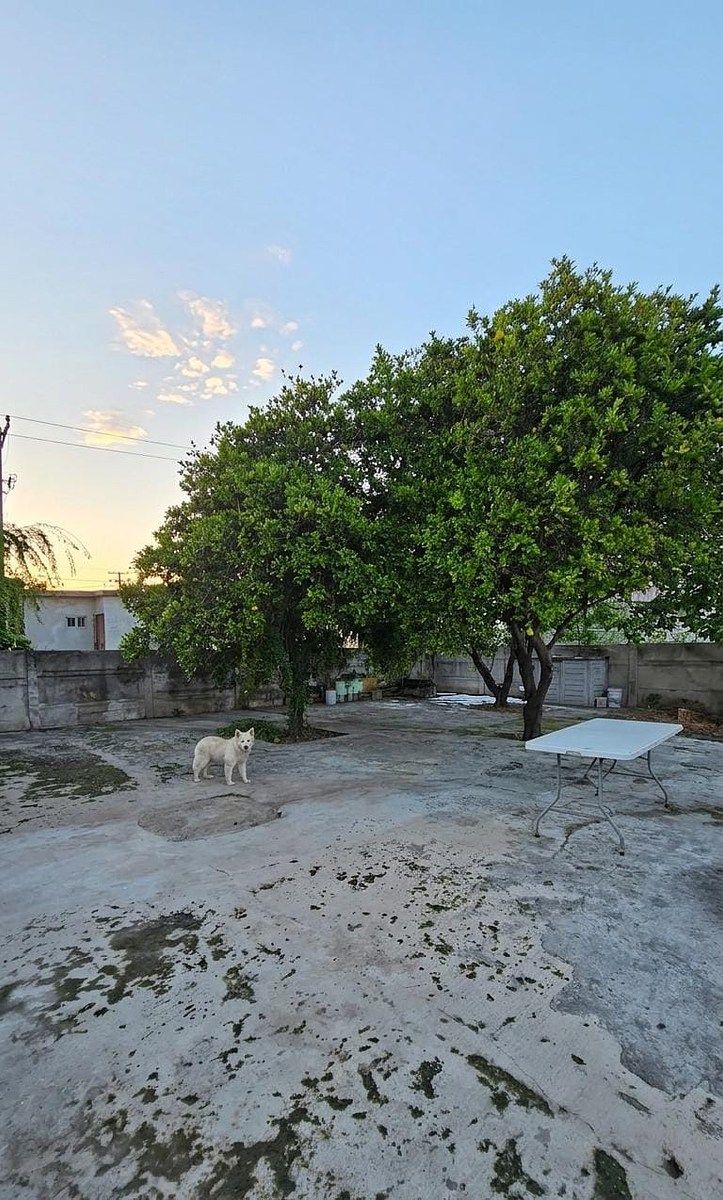 Casa em Cuauhtémoc, San Nicolás de los Garza, foto 9 de 14