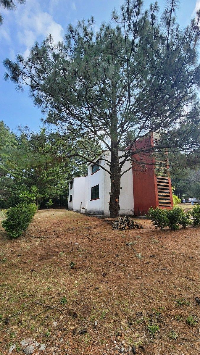 Lote em Joya de los Molinos, Pátzcuaro, foto 4 de 9