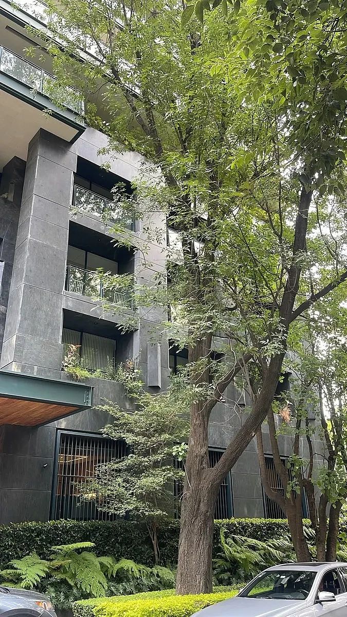 Apartamento em Polanco V Sección, Miguel Hidalgo, foto 3 de 43