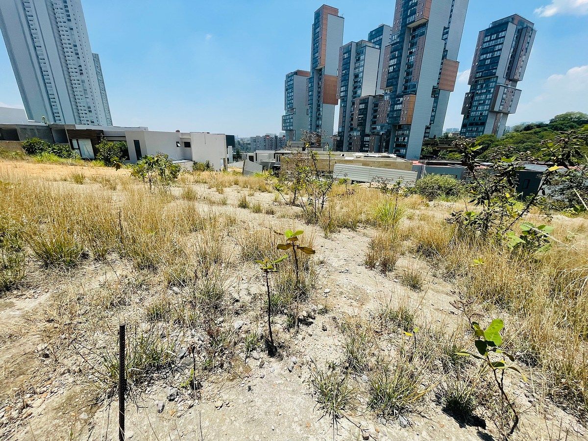 VENTA TERRENO BOSQUE REAL, foto 1 de 11