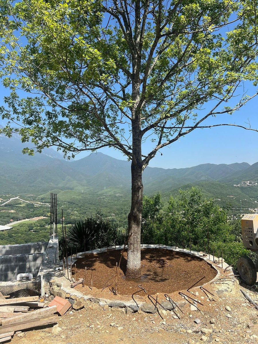 Casa en San Michelle, Monterrey, foto 16 de 17