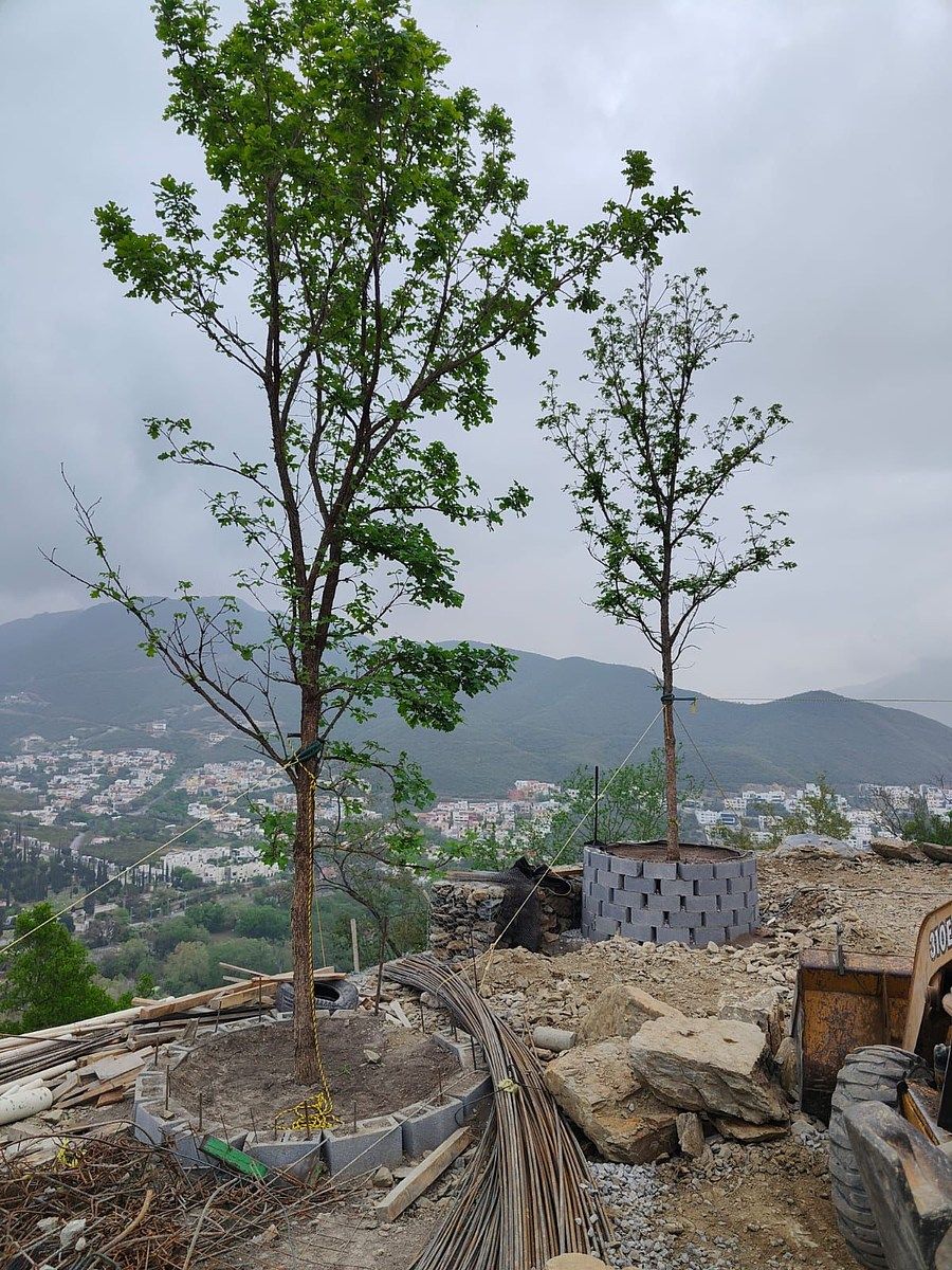 Casa en San Michelle, Monterrey, foto 17 de 17