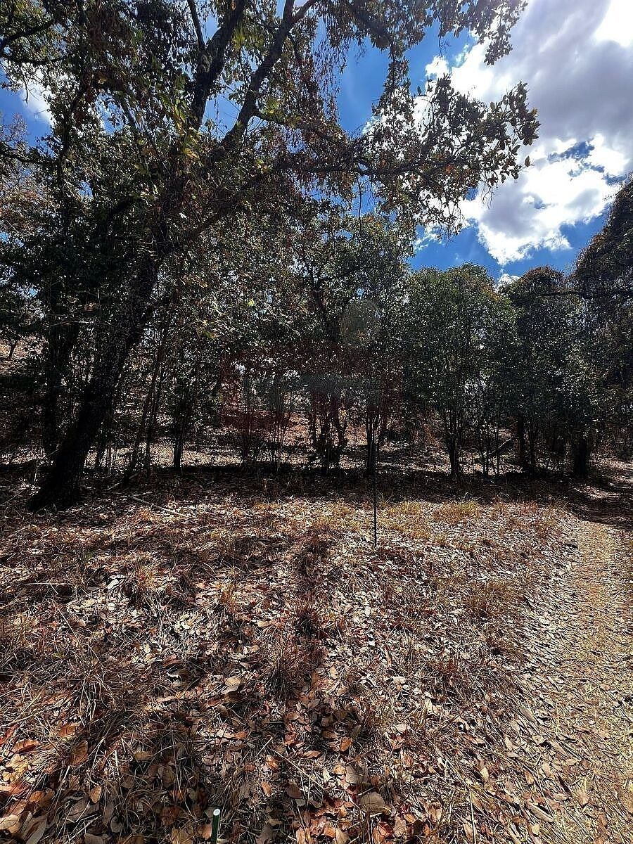Terreno en Arandas Centro, Arandas, foto 5 de 14