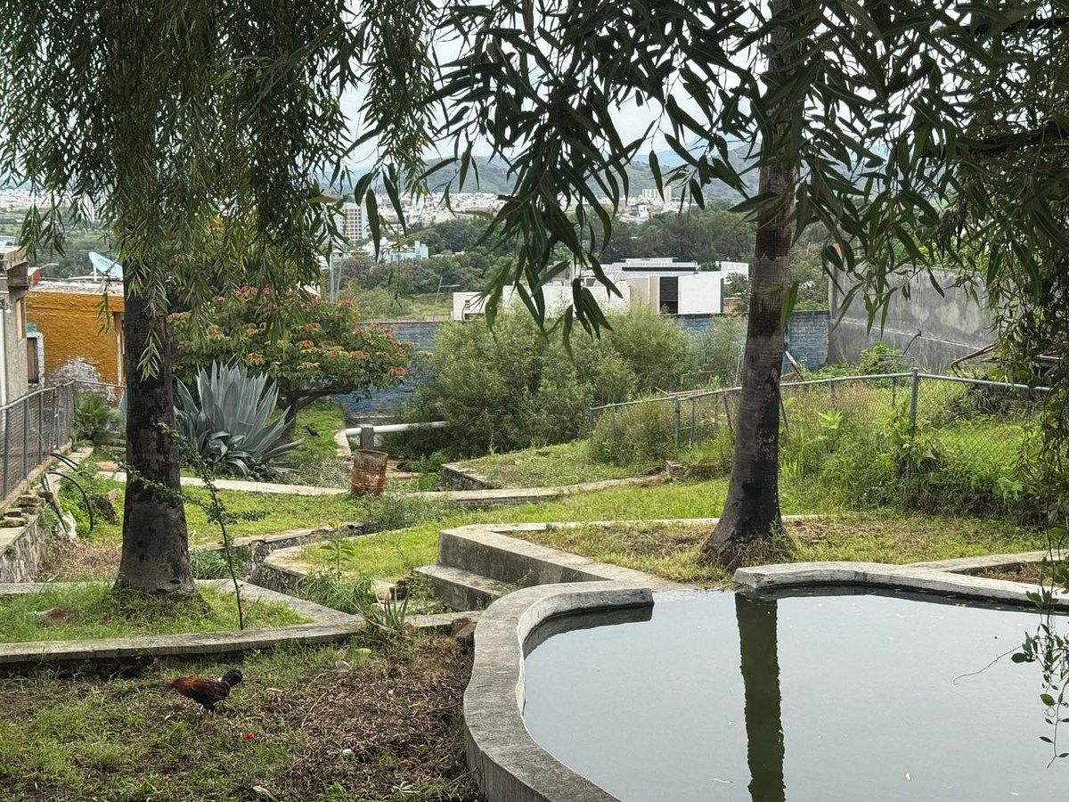Terreno en Hogares de Nuevo México, Zapopan, foto 3 de 5