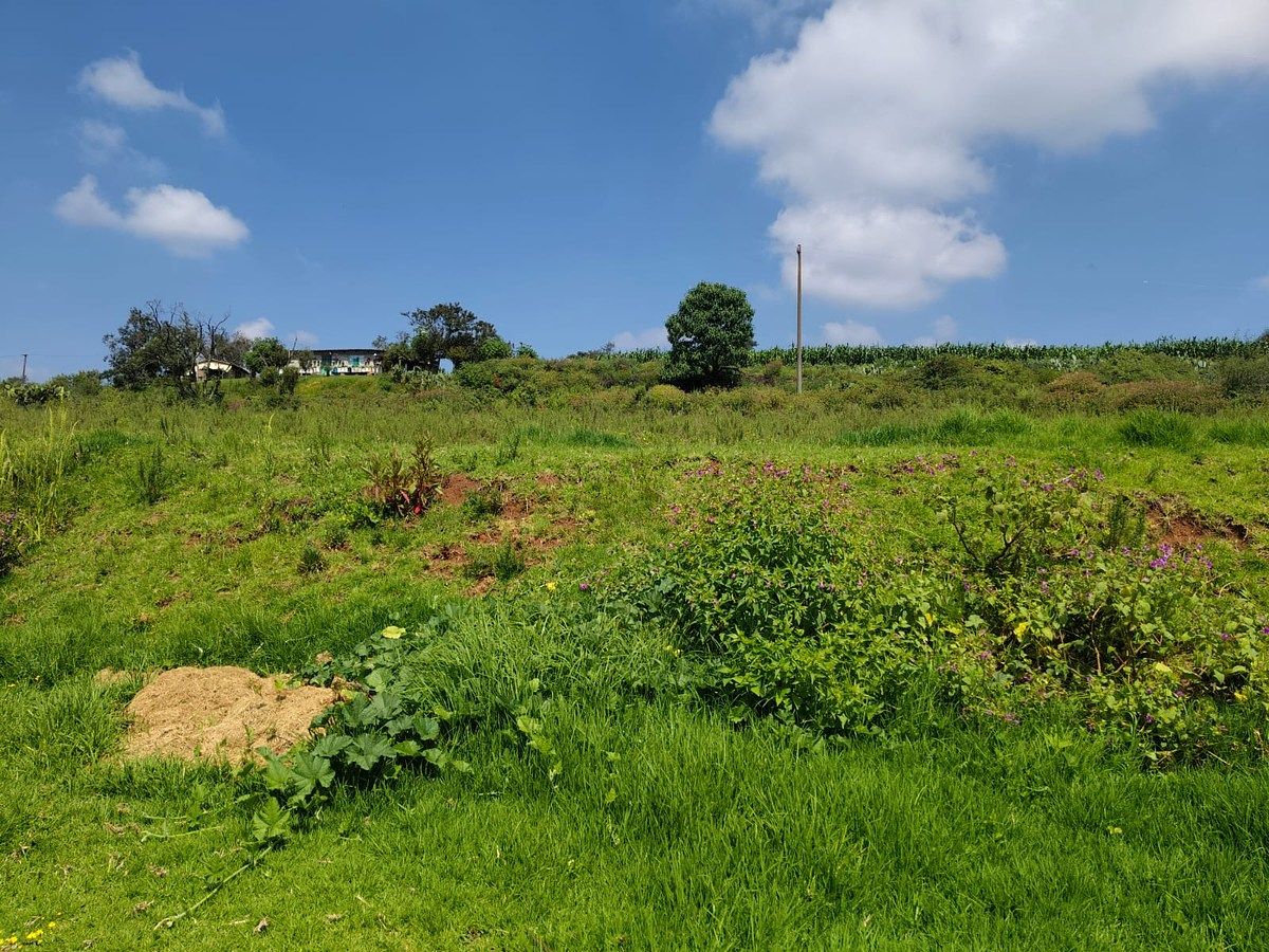 Lot in San Jeronimo Zacapexco, Villa del Carbón, photo 6 of 10