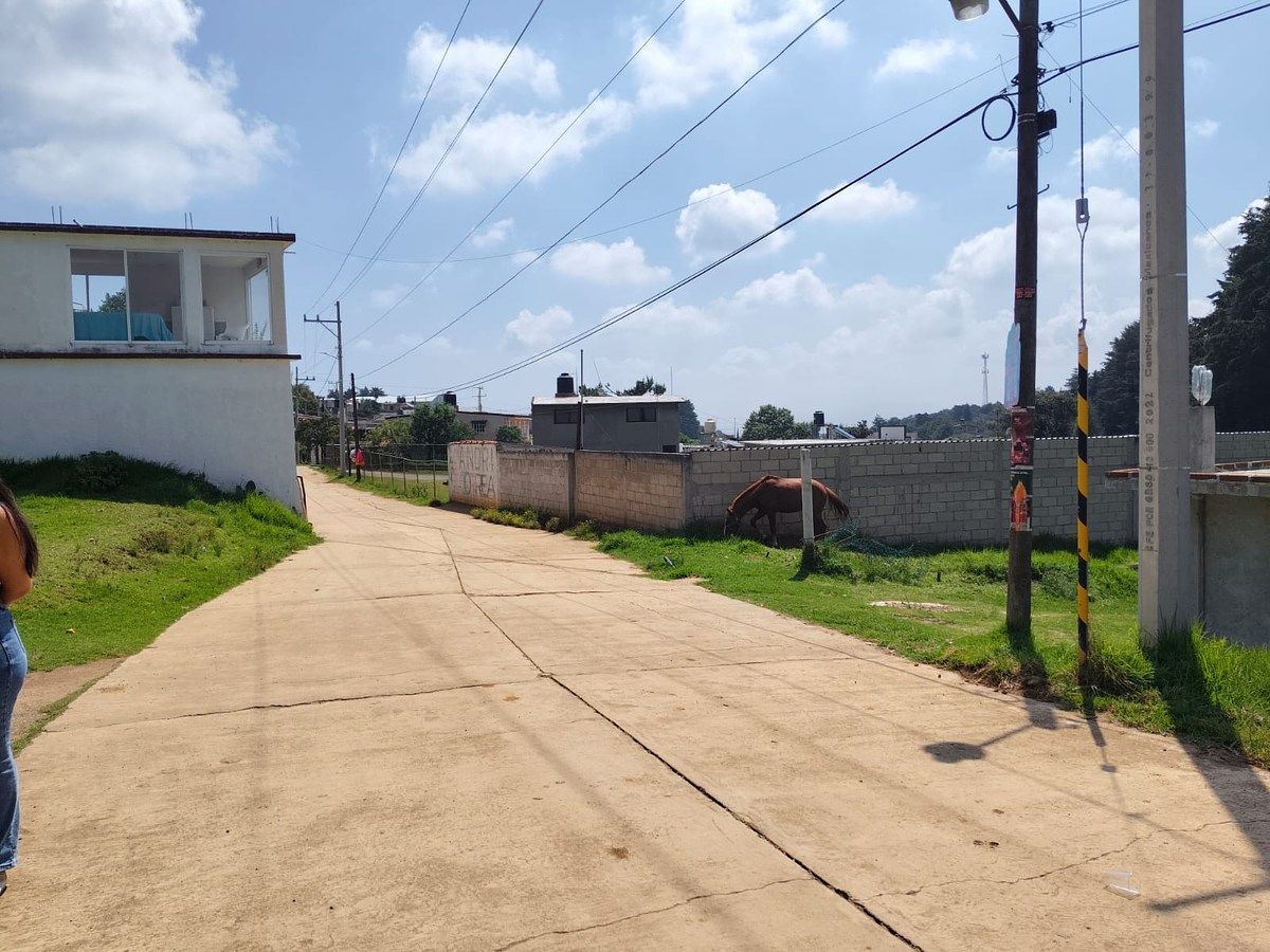 Lot in San Jeronimo Zacapexco, Villa del Carbón, photo 8 of 10