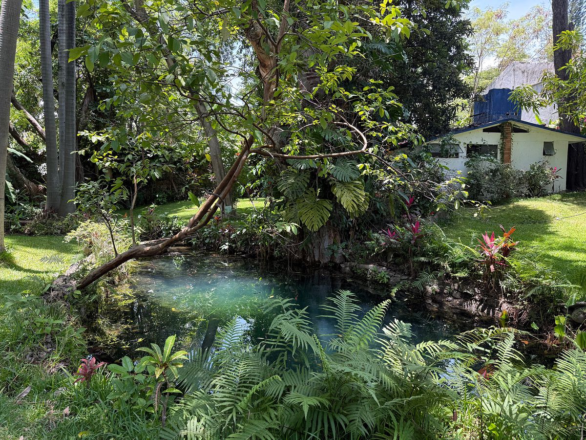 House in Chiconcuac, Xochitepec, photo 7 of 23