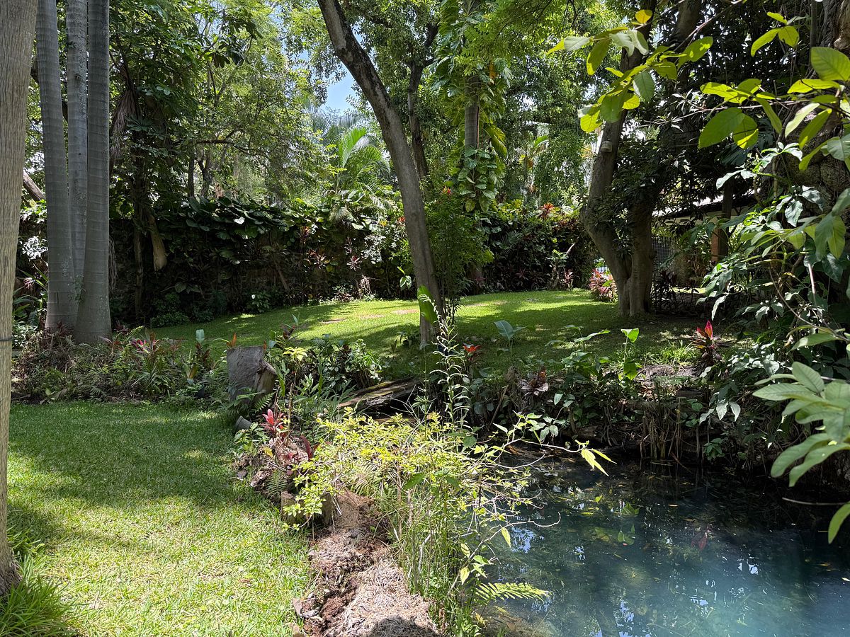 House in Chiconcuac, Xochitepec, photo 3 of 23