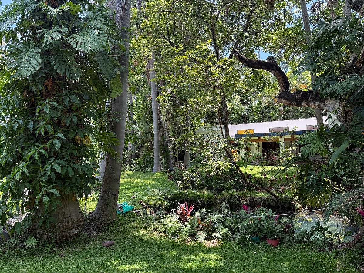 House in Chiconcuac, Xochitepec, photo 8 of 23