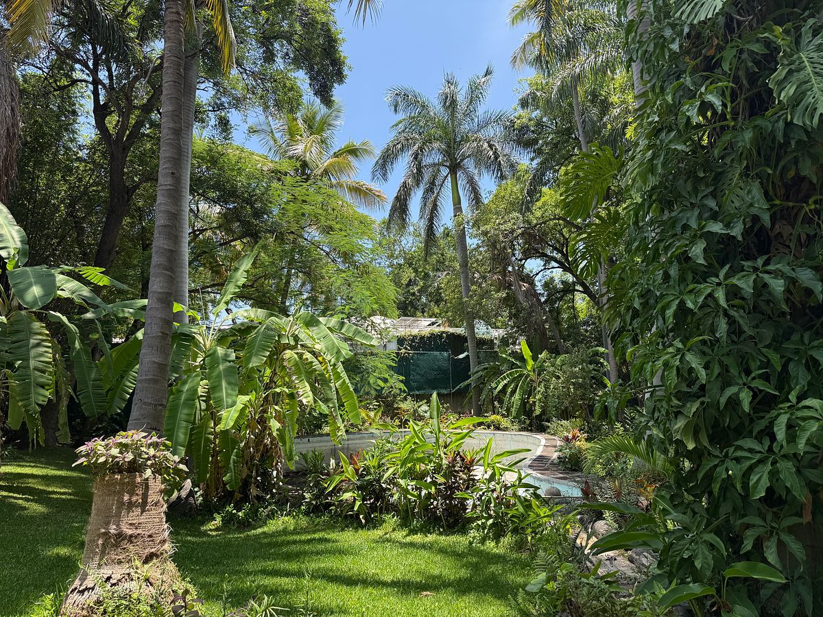 House in Chiconcuac, Xochitepec, photo 10 of 23