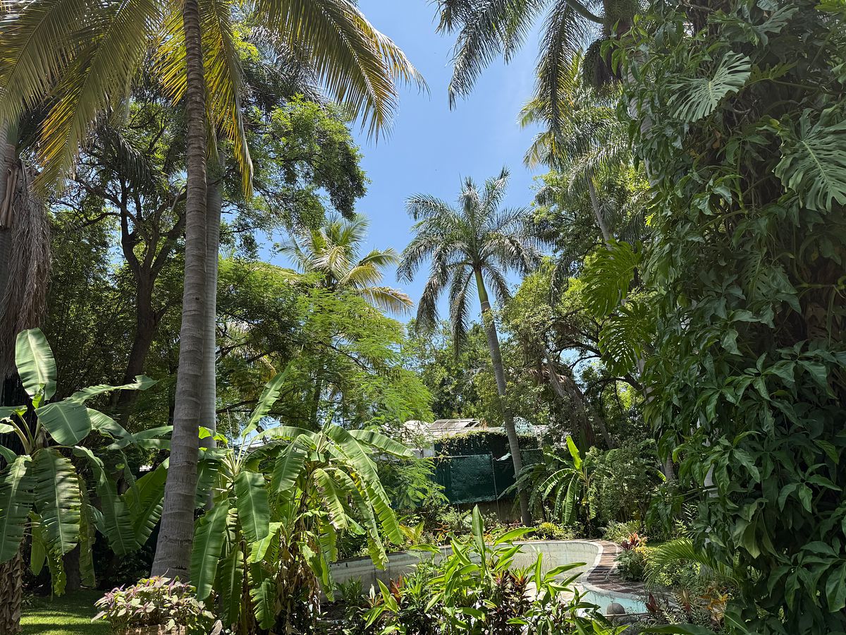 House in Chiconcuac, Xochitepec, photo 11 of 23