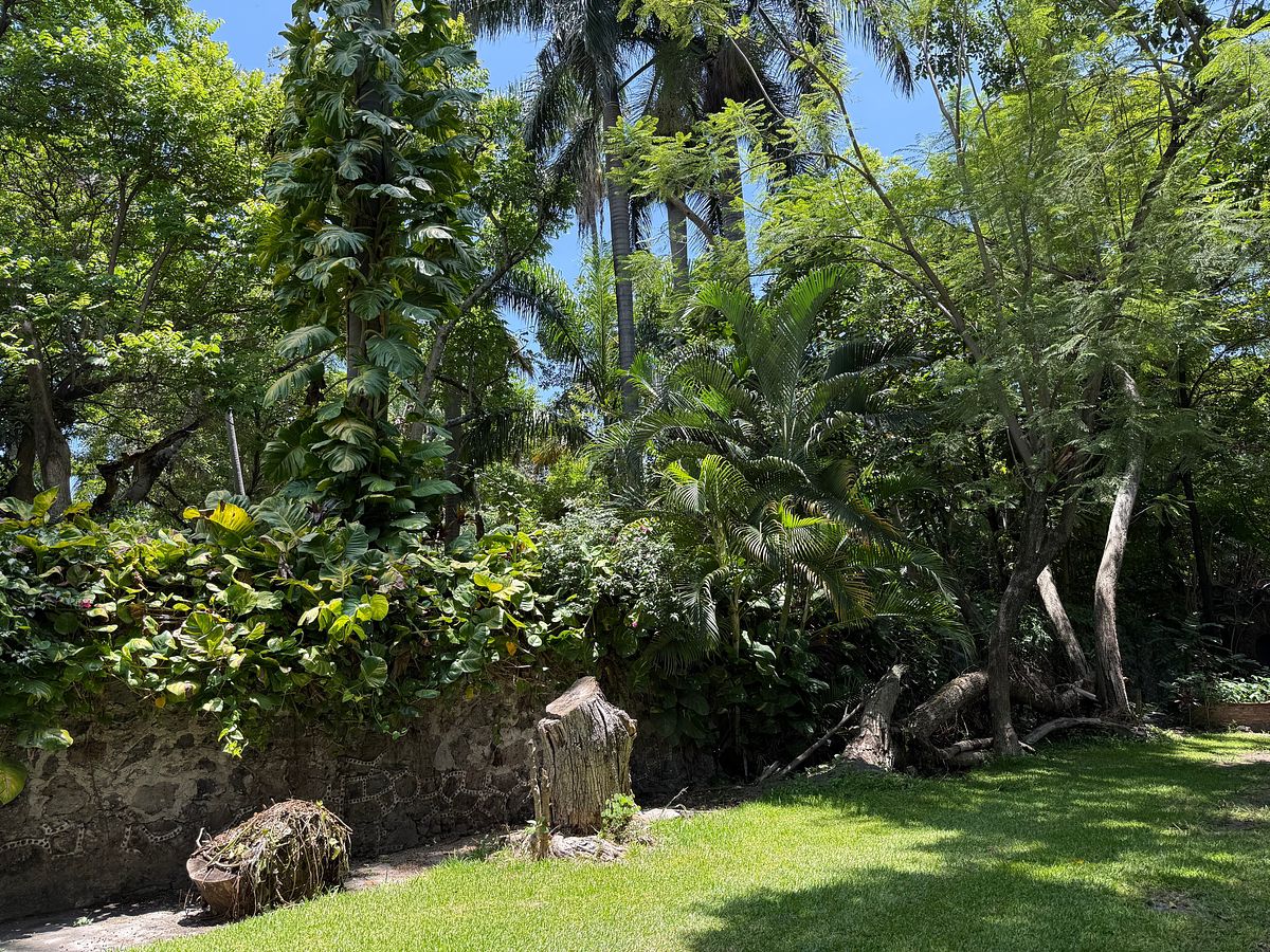 House in Chiconcuac, Xochitepec, photo 12 of 23
