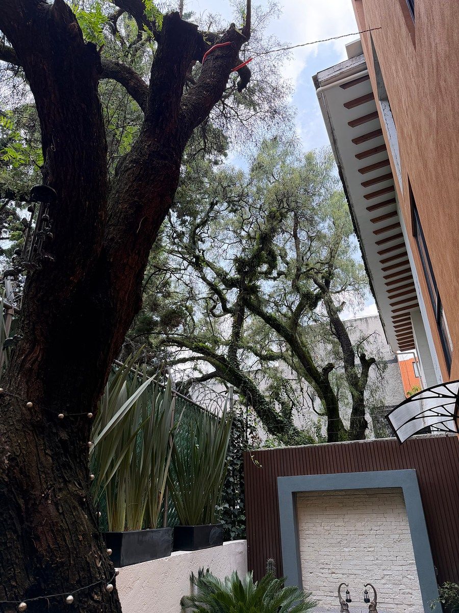 Departamento en Lomas de Tetelpan, Álvaro Obregón, foto 22 de 28