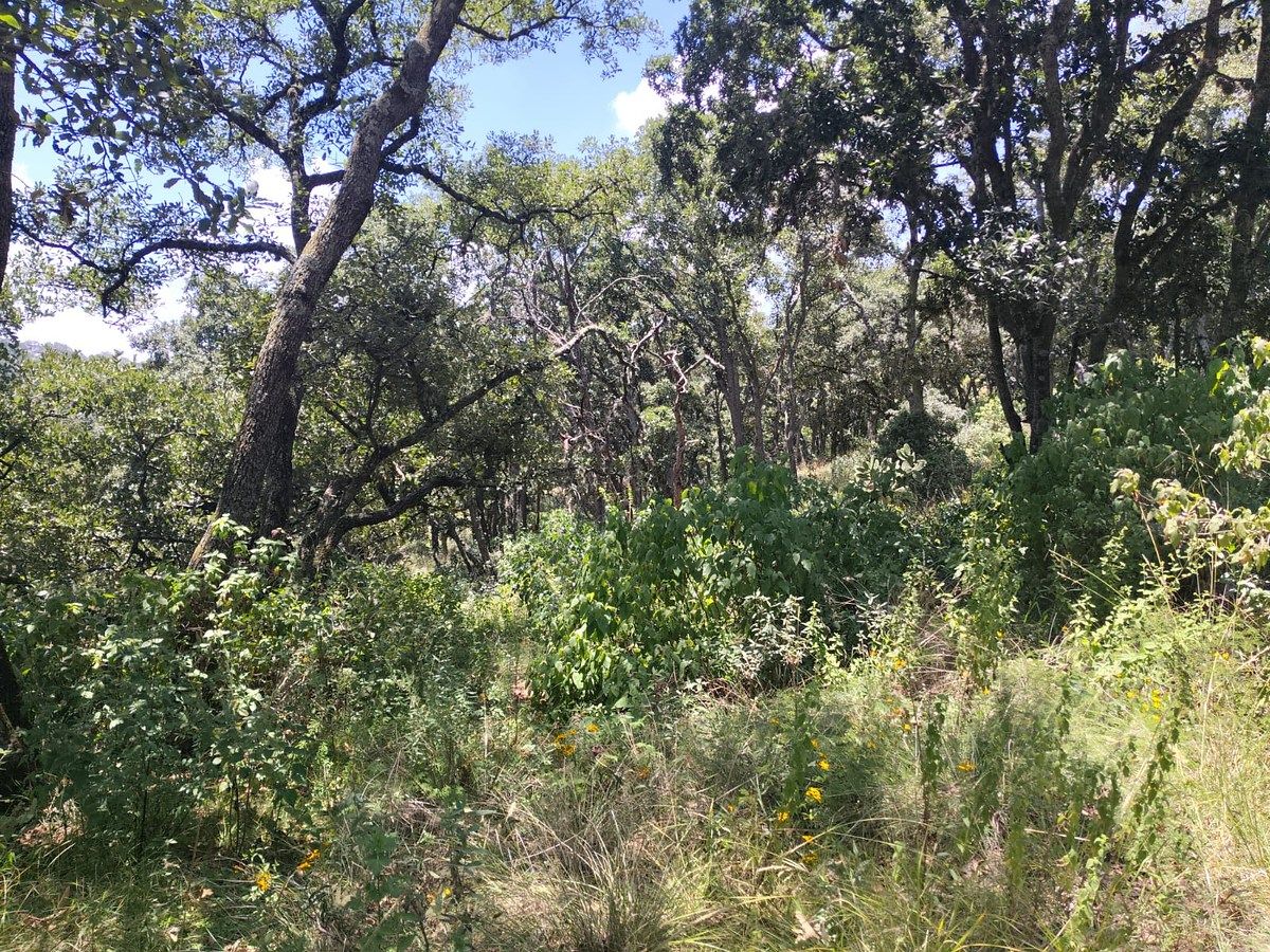 Terreno en Villa del Carbón, Villa del Carbón, foto 3 de 5