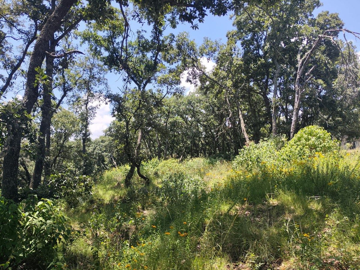 Terreno en Villa del Carbón, Villa del Carbón, foto 4 de 5