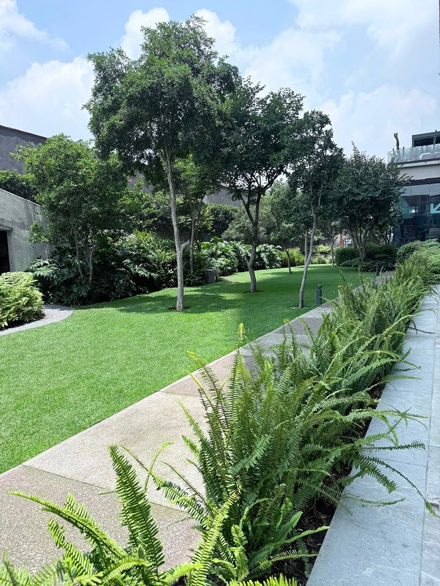 Departamento en Fuentes del Pedregal, Tlalpan, foto 38 de 49