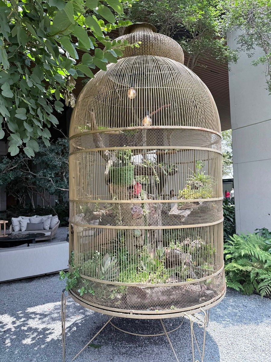 Departamento en Fuentes del Pedregal, Tlalpan, foto 40 de 49