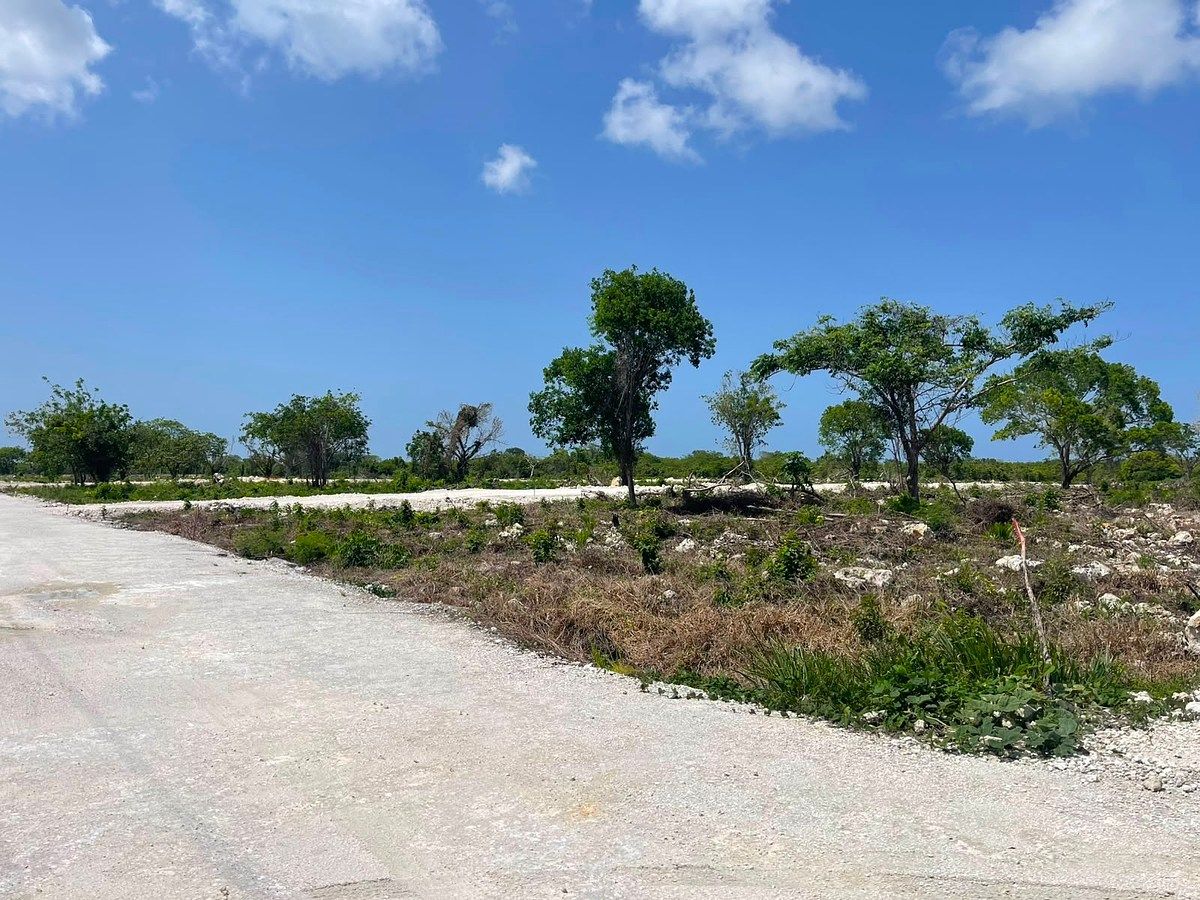 Solar en Residencial Punta Cana, foto 3