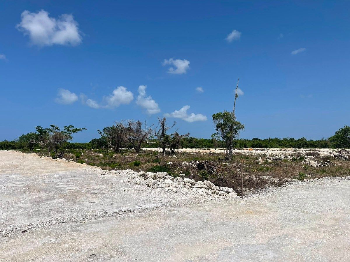Solar en Residencial Punta Cana, foto 4