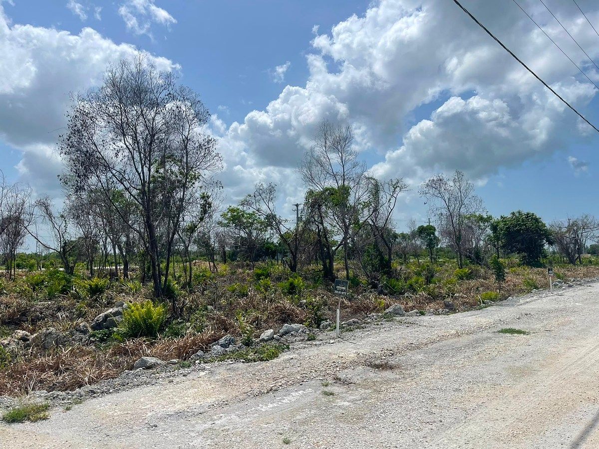 Solar en Residencial Punta Cana, foto 5