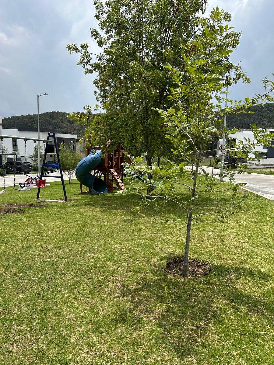 Terreno en Los Robles, Zapopan, foto 4 de 6