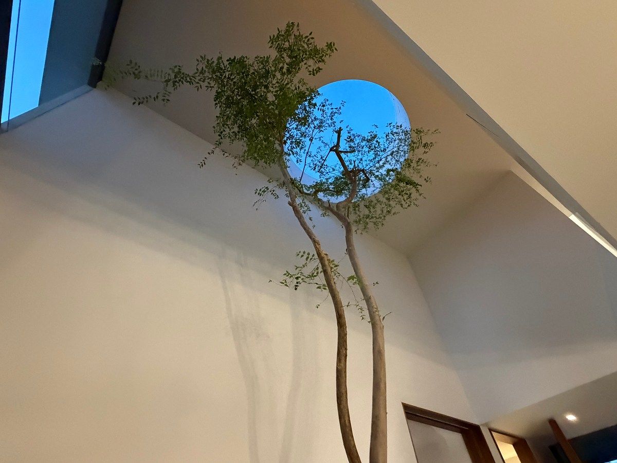 Casa em condomínio fechado em Puerta Aqua, Zapopan, foto 22 de 44
