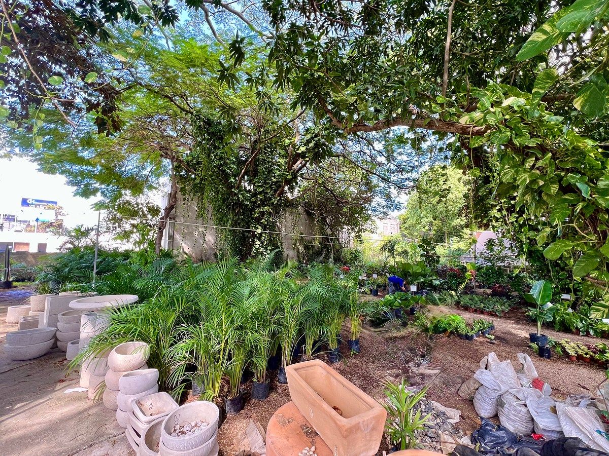 Lote em Altabrisa, Mérida, foto 2 de 25